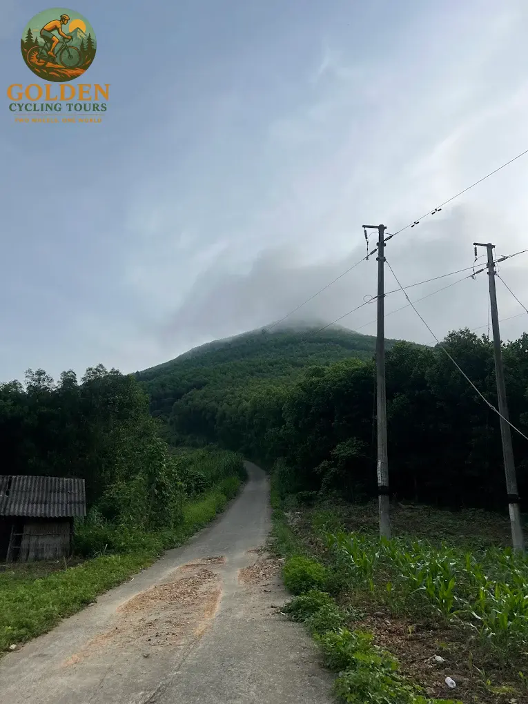 3-Day Thai Nguyen Backroad Cycling Tour: Ban Ten, Tea Hills & Nui Coc